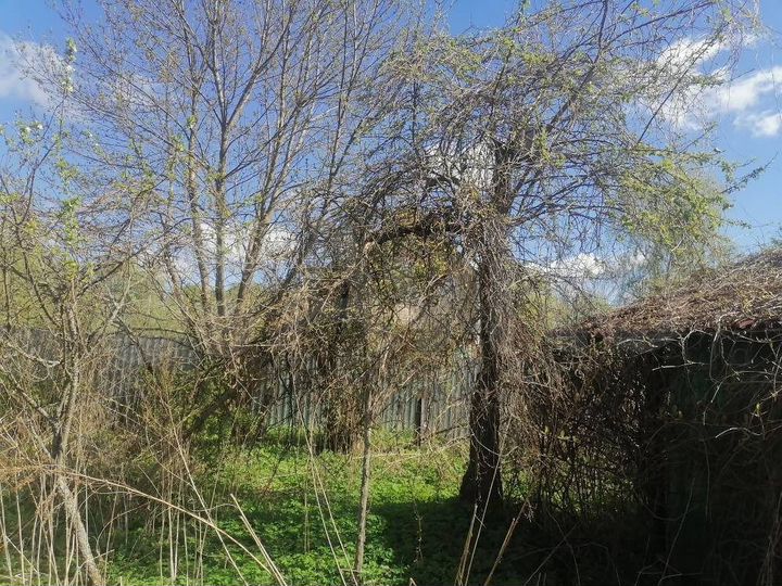 Участок 20 сот. (СНТ, ДНП)