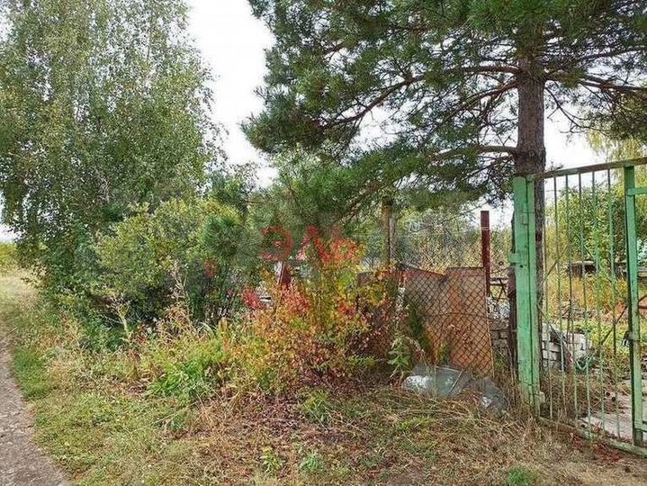 Участок 11,8 сот. (СНТ, ДНП)