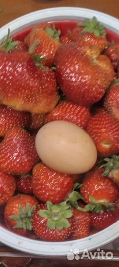 Мармолада Онебор