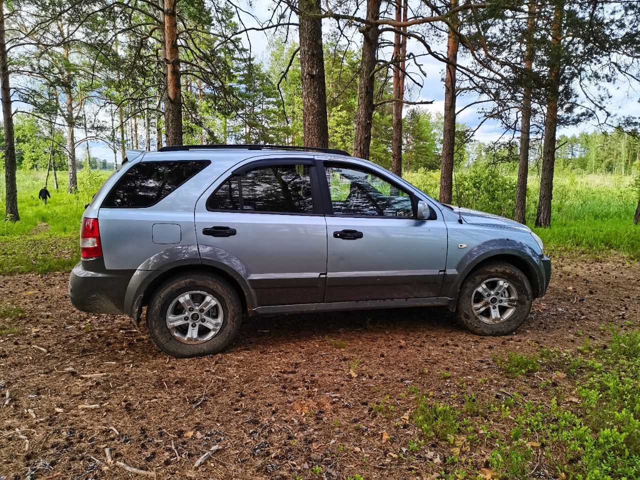 Kia Sorento: фото владельца