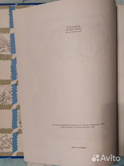 Летний ливень И. Токмакова (на английском языке)