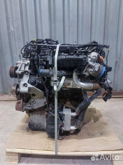 Двигатель D4HA 2.0 л 136-186 л.с. Kia Sportage