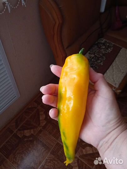 Семена перец,фасоль,дыня,сандберри,физалис