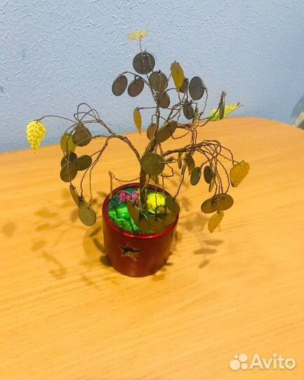 Денежное дерево