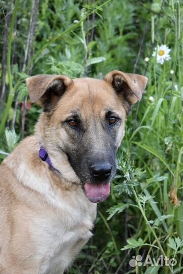 Очаровательная Рейна 1,5 года ищет семью