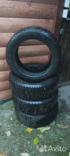 Blacklion W506 Ice Pioneer 205/55 R16 91H