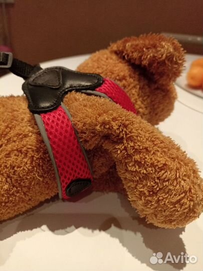 Шлейка для мелких пород собак