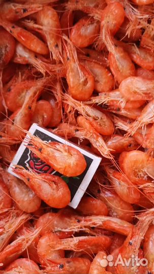 Креветка азовская
