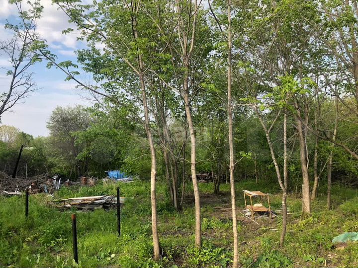 Участок 12 сот. (СНТ, ДНП)