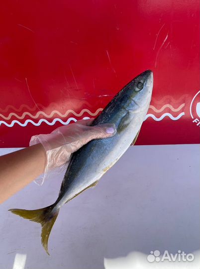 Лакедра нр 800-1300гр