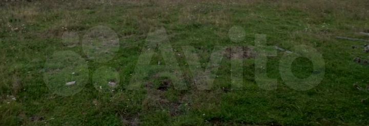 Участок 4,6 га (СНТ, ДНП)