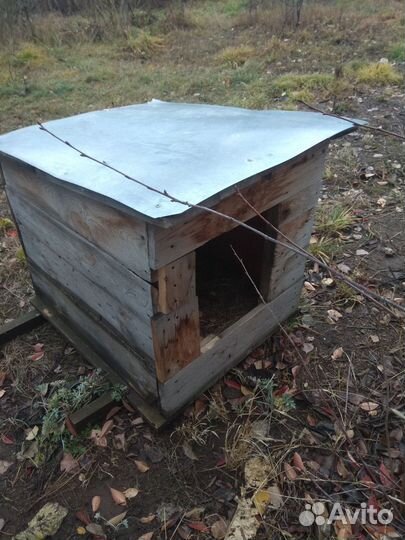 Будка для собаки бу