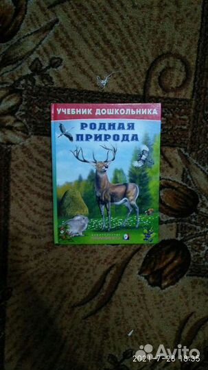 Книга для дошкольного развития