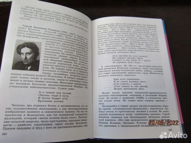 Литература 10, 11 класс Смирнова, Лебедев