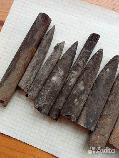 Белемниты, большие, коллекционные