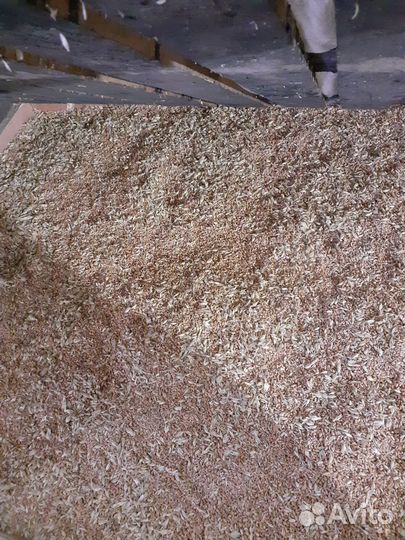 Комбикорм для кур несушек и другой птицы