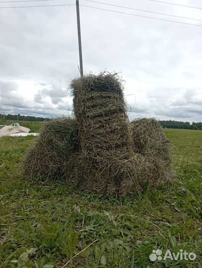 Сено в кипах
