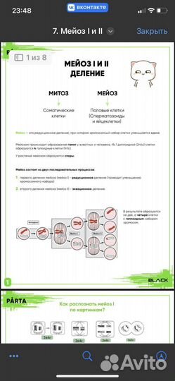 Репетитор по биологии