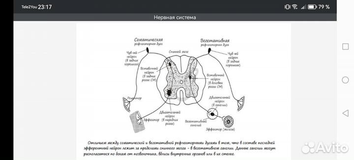 Материалы для подготовки к егэ по биологии