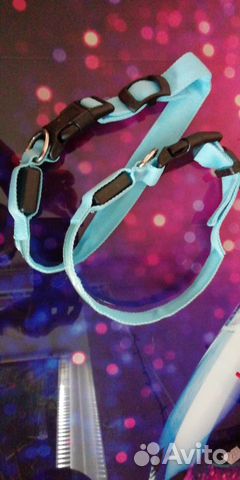 Ошейник для собак