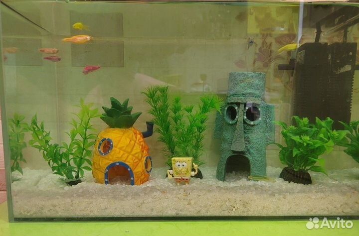 Планктон Шелдон, киндер Ferrero, 2005