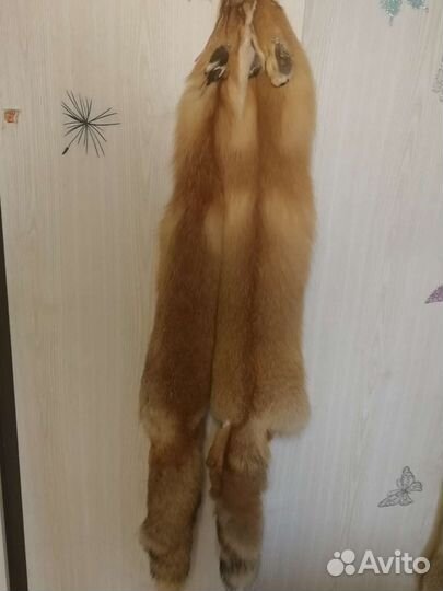 Шкуры лисы