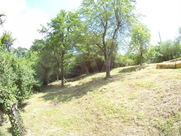 Участок 5,2 сот. (СНТ, ДНП)