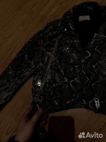 Коженка укороченная