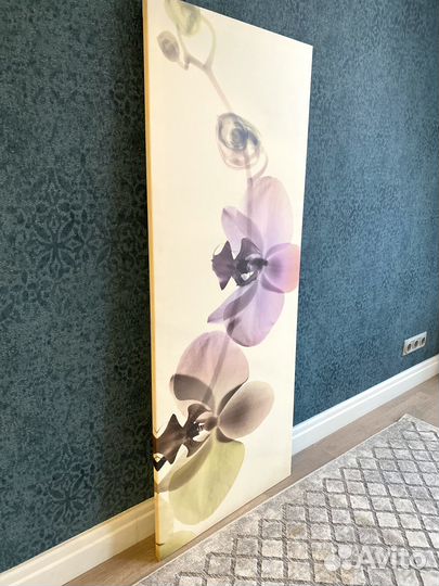 Постер большой 141 * 56см. Орхидея