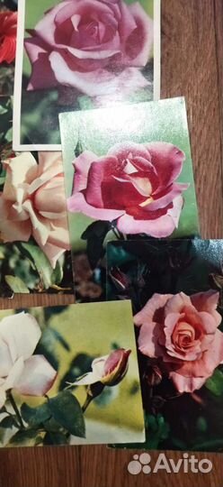 Открытки времён СССР