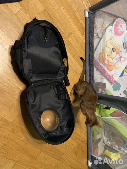 Переноска для кошек большая