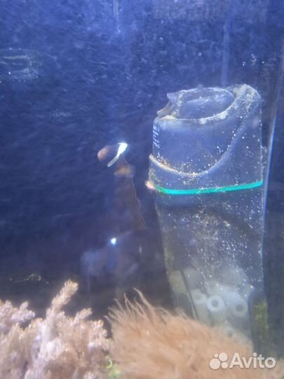 Аквариум 70 литров