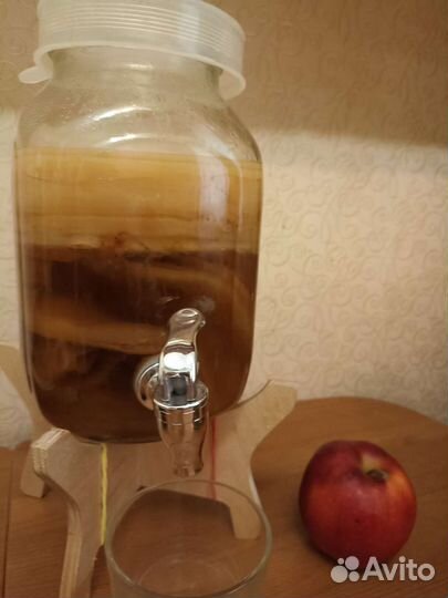 Чайный гриб