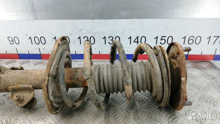 Стойка передняя Toyota Auris (E150) I (2006–2012)