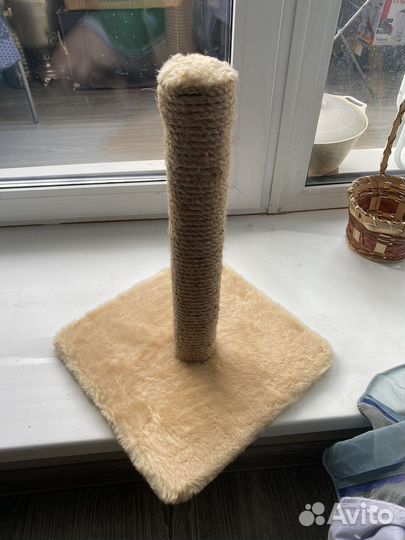 Когтеточка