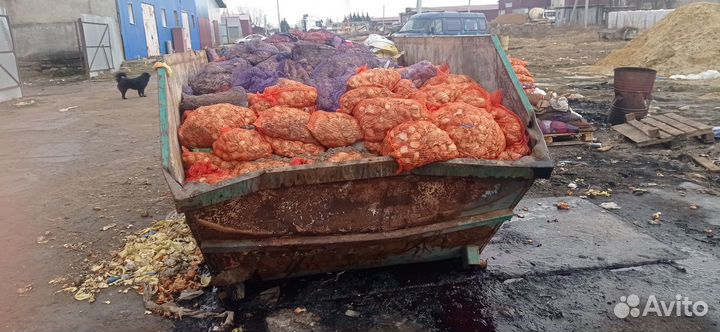 Овощные отходы