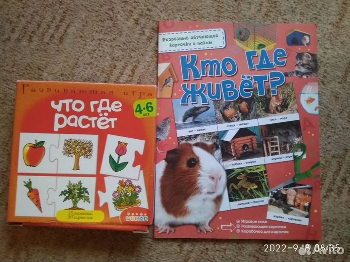 Детские развивающие игры
