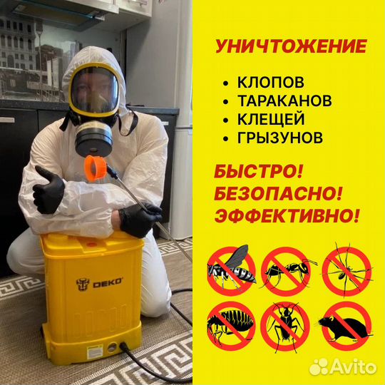 Дезинфекция осы. Дезинфекция осы