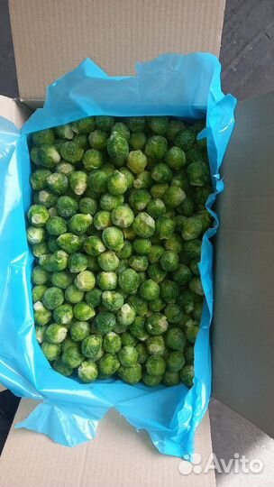 Брюссельская капуста