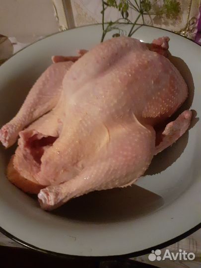 Мясо домашней индейки