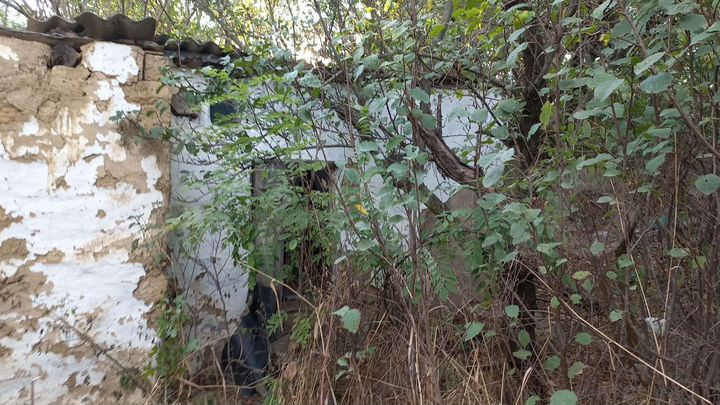 Дом 31 м² на участке 12 сот.