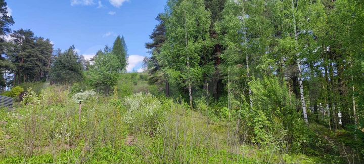 Участок 2,5 га (СНТ, ДНП)