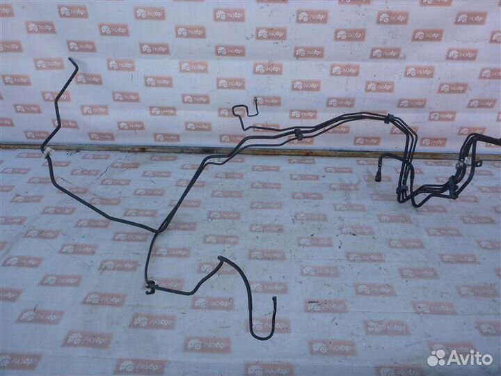 Трубка топливная Infiniti Fx37 S51 VQ37VHR 2011