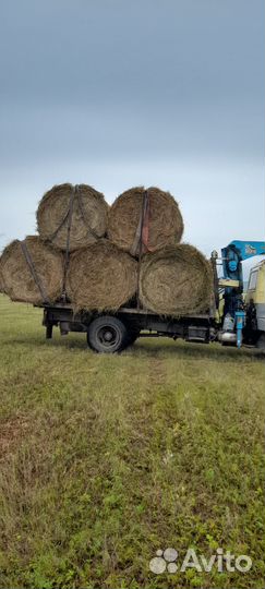 Сено в рулонах