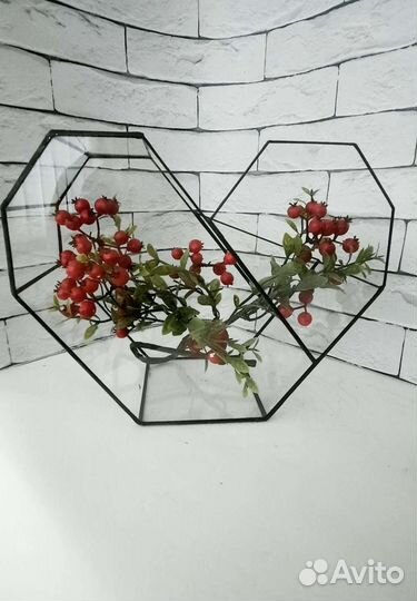 Флорариум геометрический