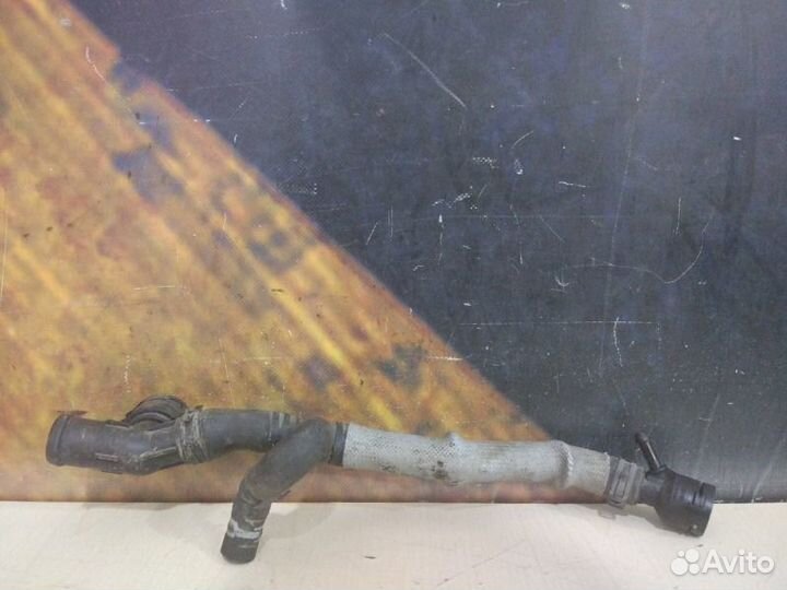 Шланг системы охлаждения Volkswagen Passat B6