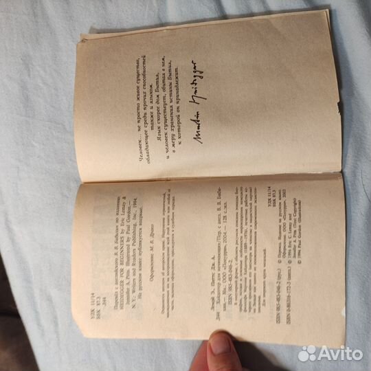 Хайдеггер для начинающих