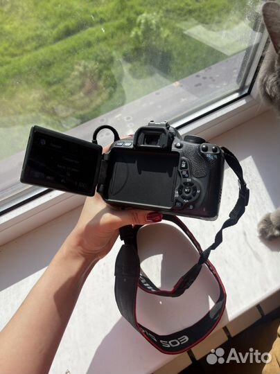 Фотоаппарат canon eos 600d