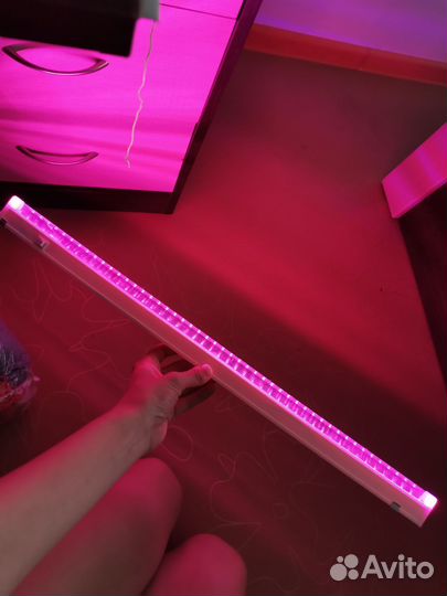 Фитолампа для растений