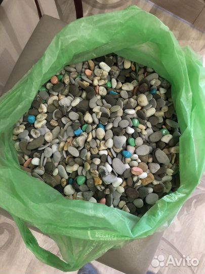 Террариум для рыб